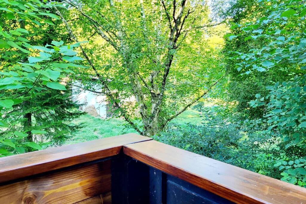 Colourful 2.5 Bedroom With Large Balcony & Garden. Prinzersdorf Eksteriør bilde